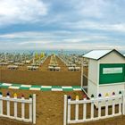 Panorama of Caorle #3