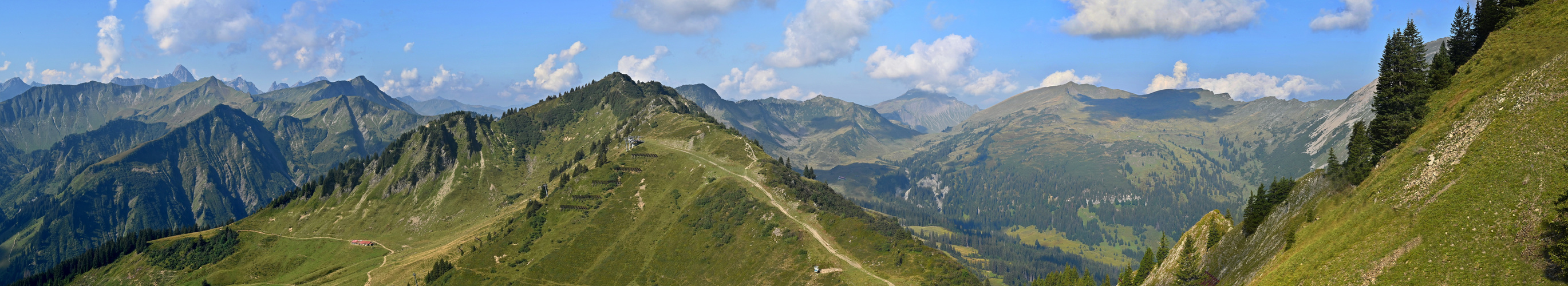 Panorama ohne Lawinengitter, am Walmendinger Horn