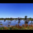 Panorama: Okavango Delta