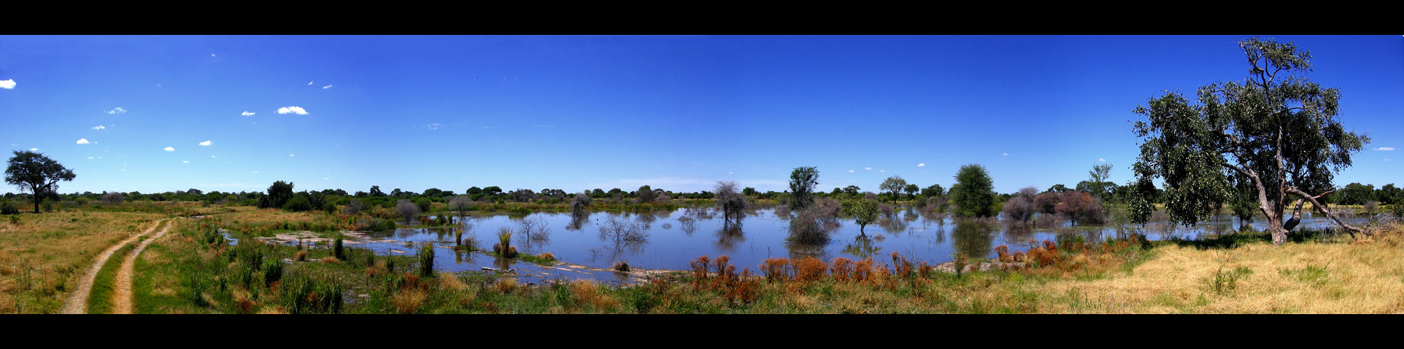 Panorama: Okavango Delta