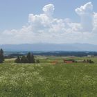 Panorama Ostalgäu