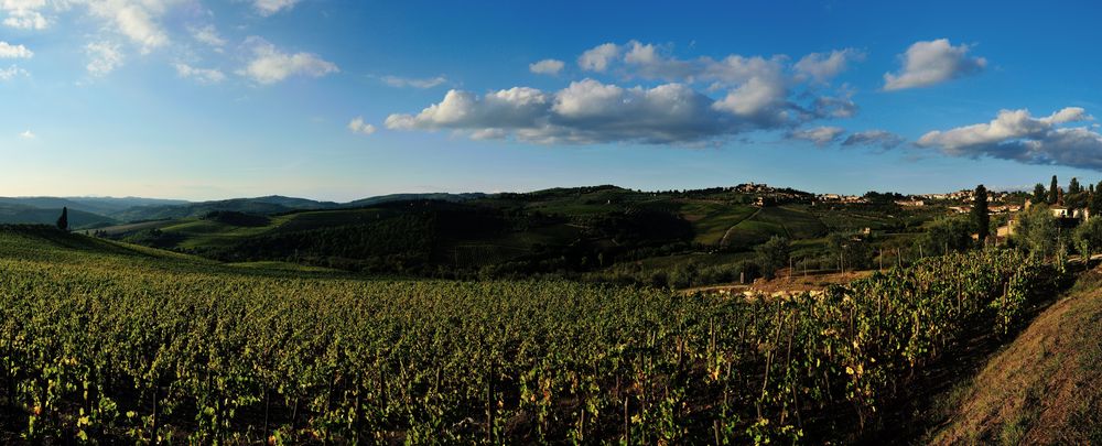 Panorama Panzano und Weinberge