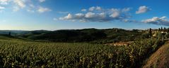 Panorama Panzano und Weinberge