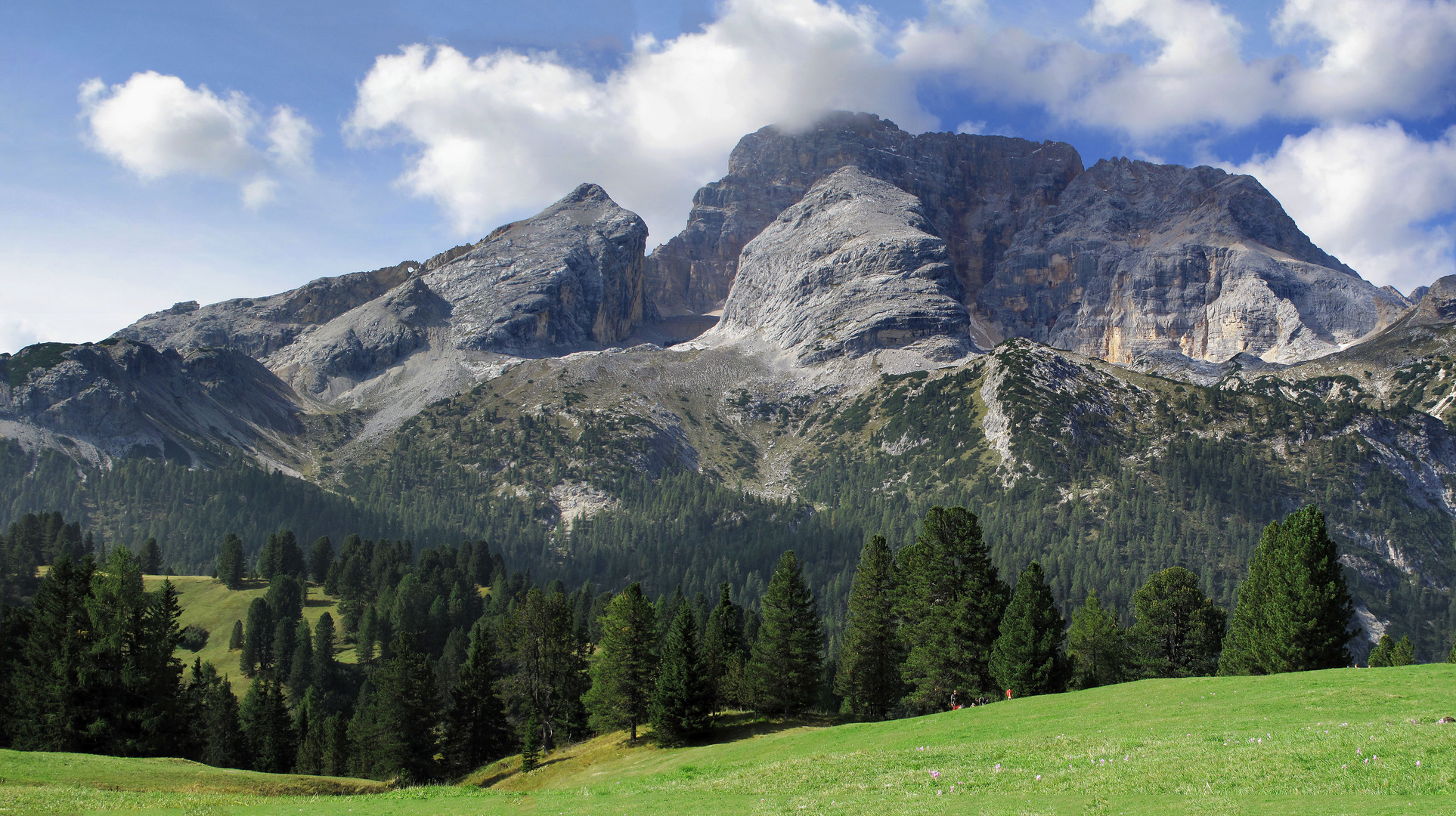 Panorama Plaetzwiese Blick auf HoheGaisl