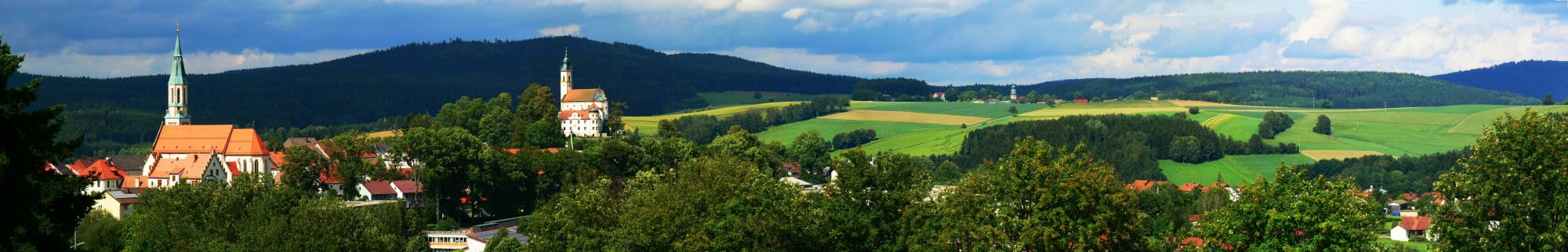 Panorama Pleystein