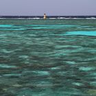Panorama Reef (Rotes Meer)