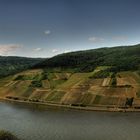 Panorama Rheingau