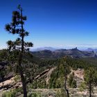 Panorama Roque Nublo - Teide