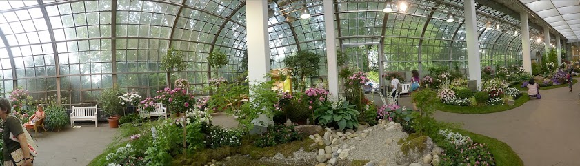 Panorama Rosenausstellung im großen Saal