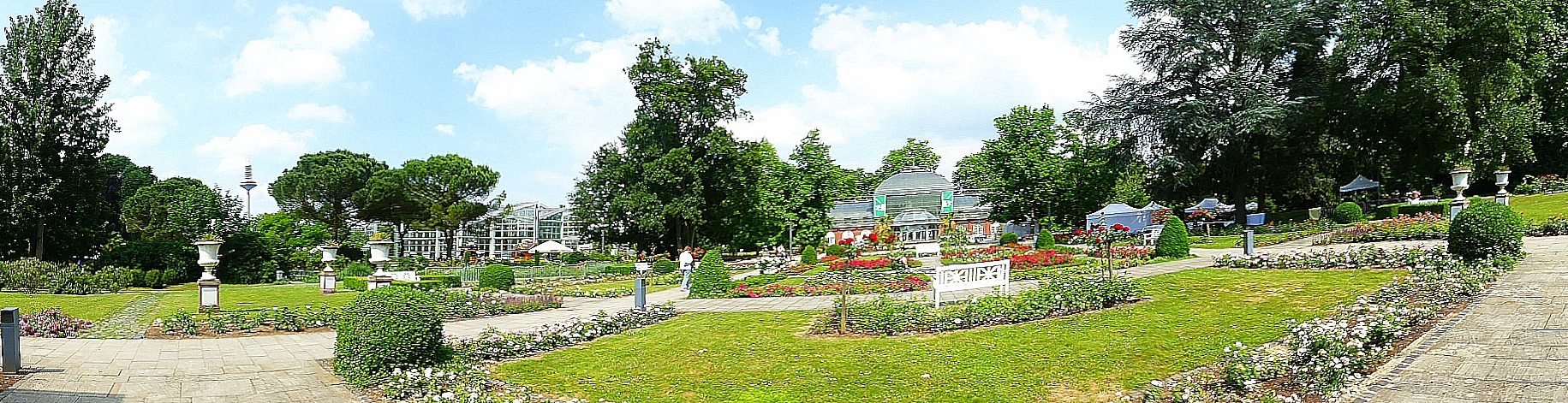 Panorama Rosengarten