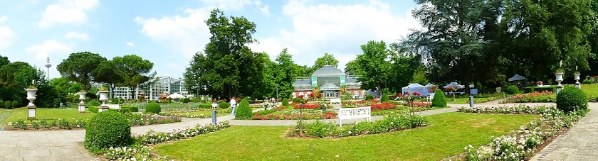 Panorama Rosengarten im Palmengarten Frankfurt mit Eingangsschauhaus