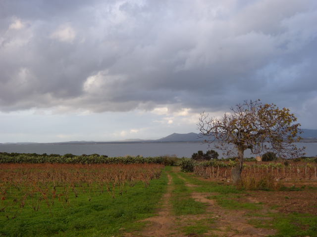 Panorama sardo 2