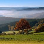 Panorama-Schnitt