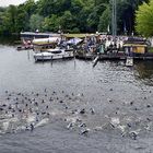 Panorama-Schwimmen...