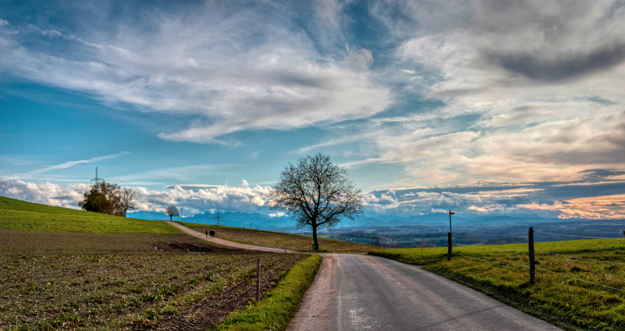 Panorama seelandais