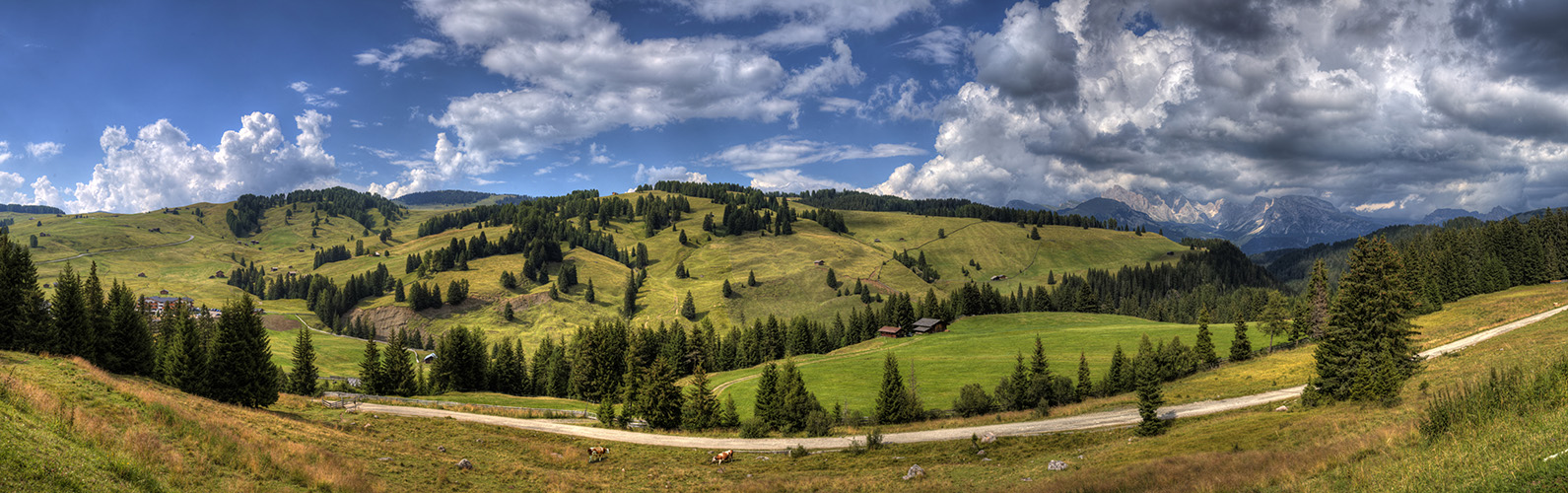 Panorama / Seiser Alm