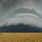 Panorama Shelfcloud