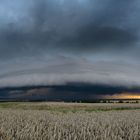 Panorama Shelfcloud im Abendlicht