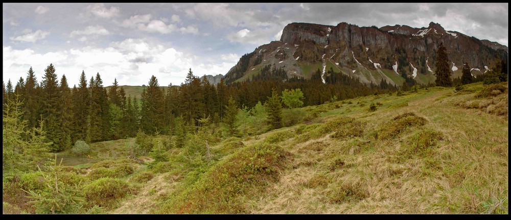 Panorama Sigriswilergrat aus dem Hoochmoor