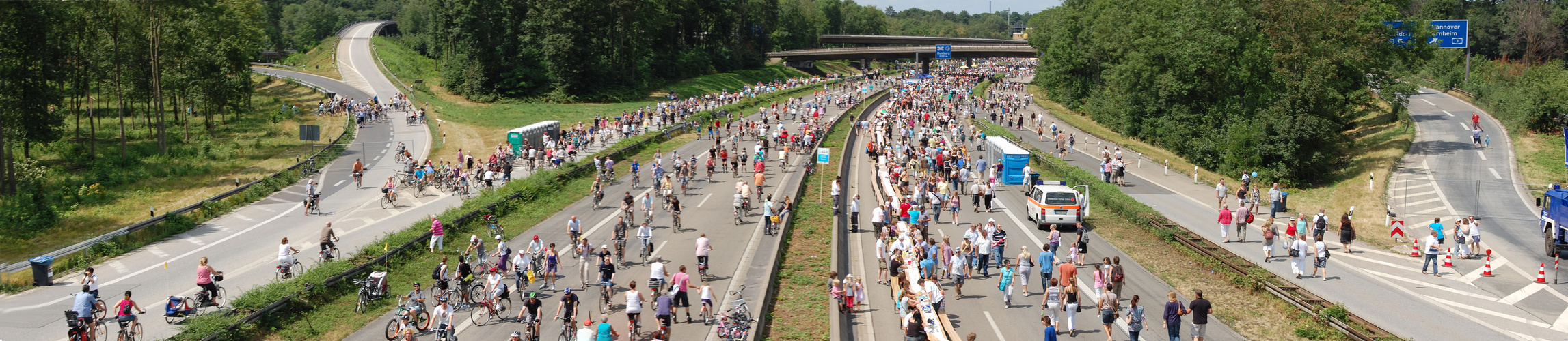 Panorama Sill-Leben 2010