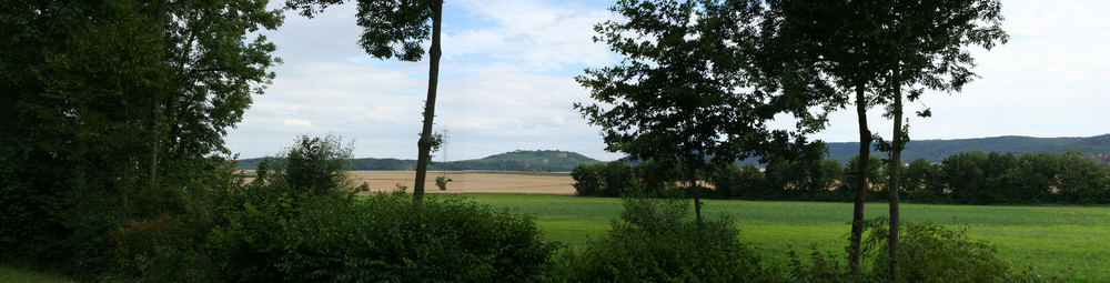 Panorama Sophienhof Güglingen ( Versuch )