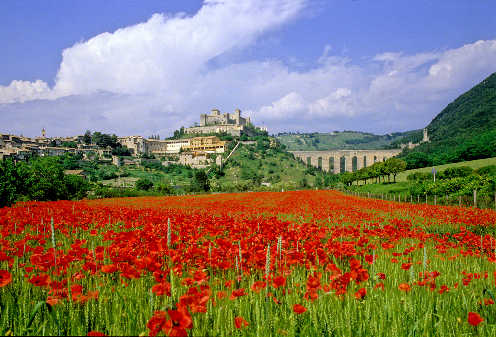 Panorama spoletino