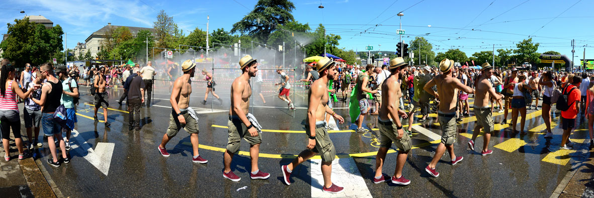 Panorama Street Parade aus der Serie wild