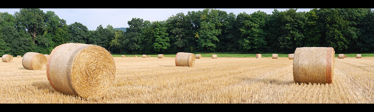 Panorama Strohrollen