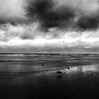 Panorama Sturm Norderney