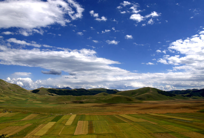 panorama sul Pian Grande- i campi di Castelluccio-