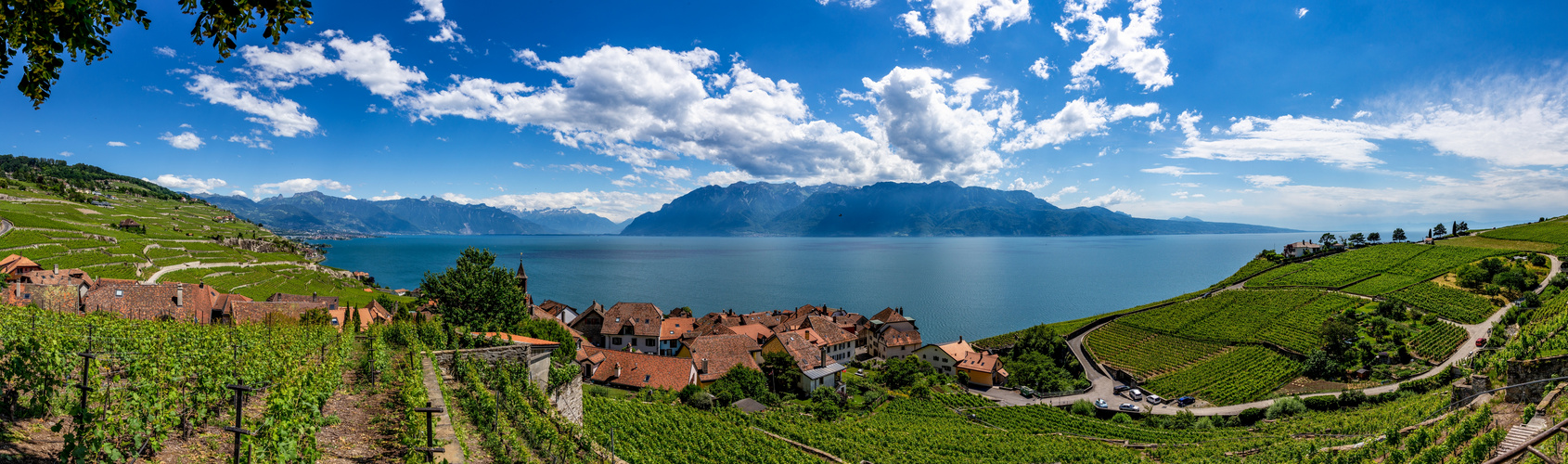 Panorama sur le Lavaux