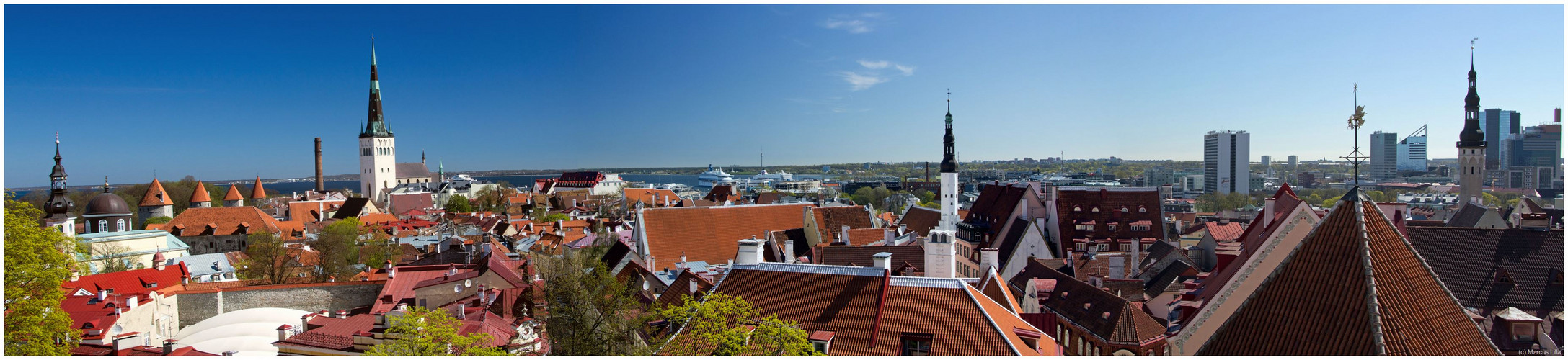 Panorama Tallinn