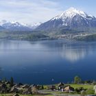 Panorama Thunersee