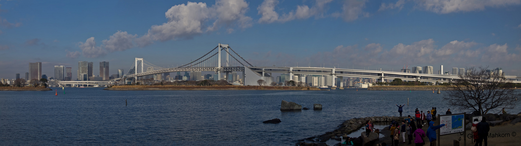 Panorama -Tokyo Bridge