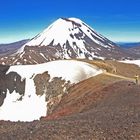 ~ Panorama Tongariro National Park ~