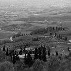 Panorama Toscano (Pienza)