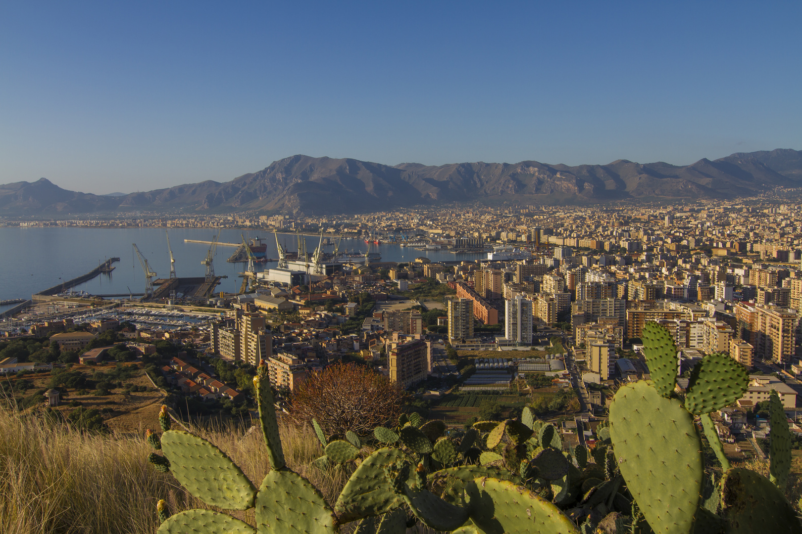 Panorama über Palermo