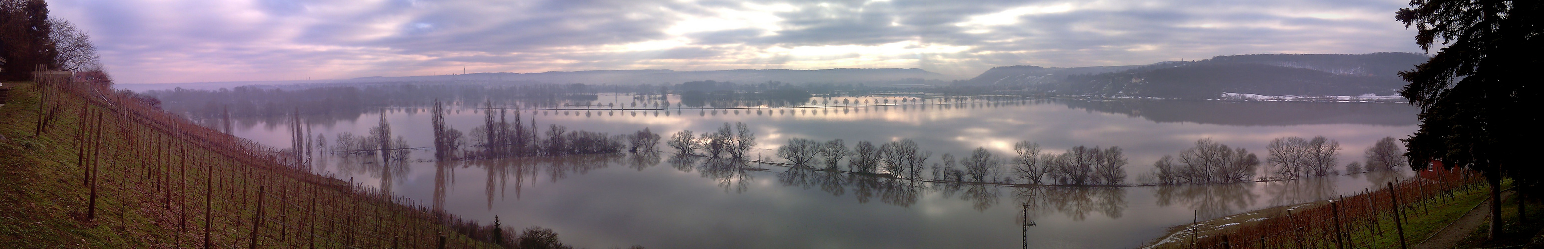 Panorama übers Hochwasser