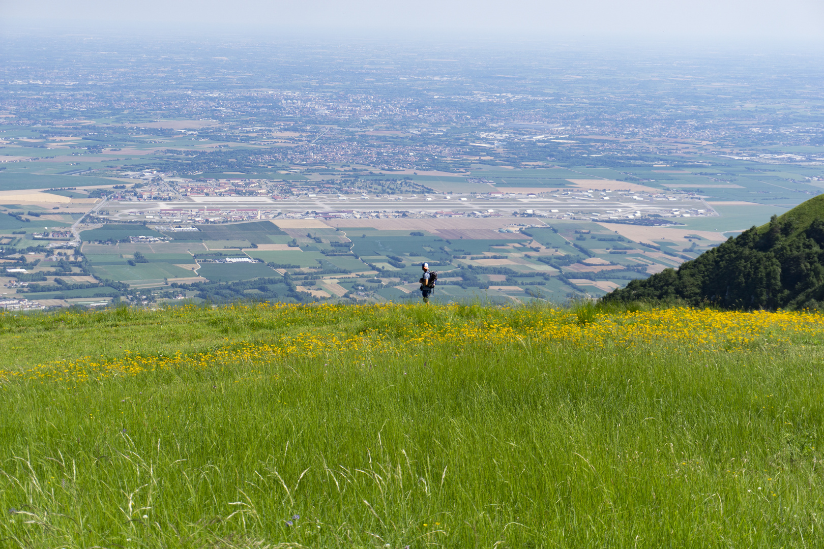 Panorama Urbano