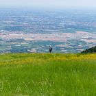 Panorama Urbano