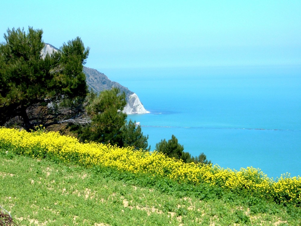 PANORAMA VERSO IL TRAVE