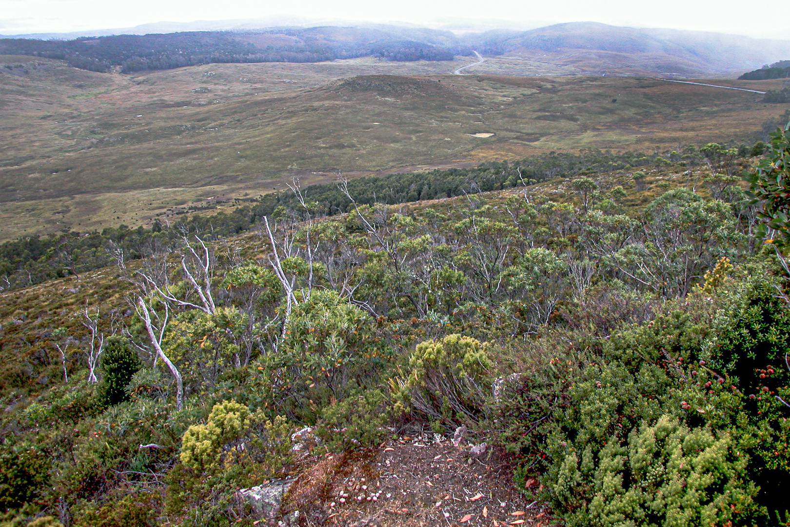 Panorama view from Cradle Mountain