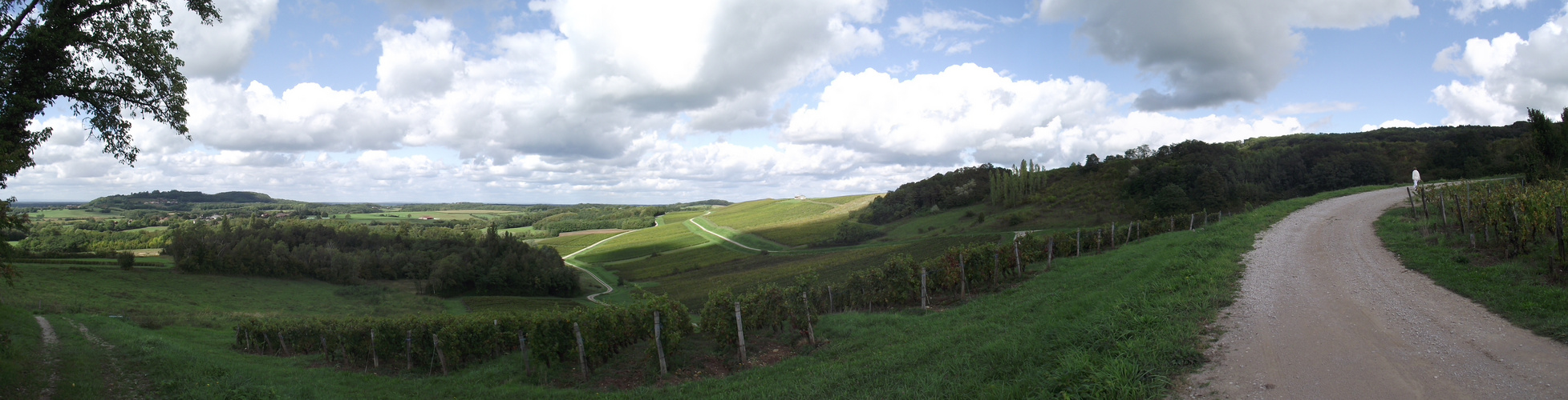 PANORAMA VIGNOBLE DE PASSENANS