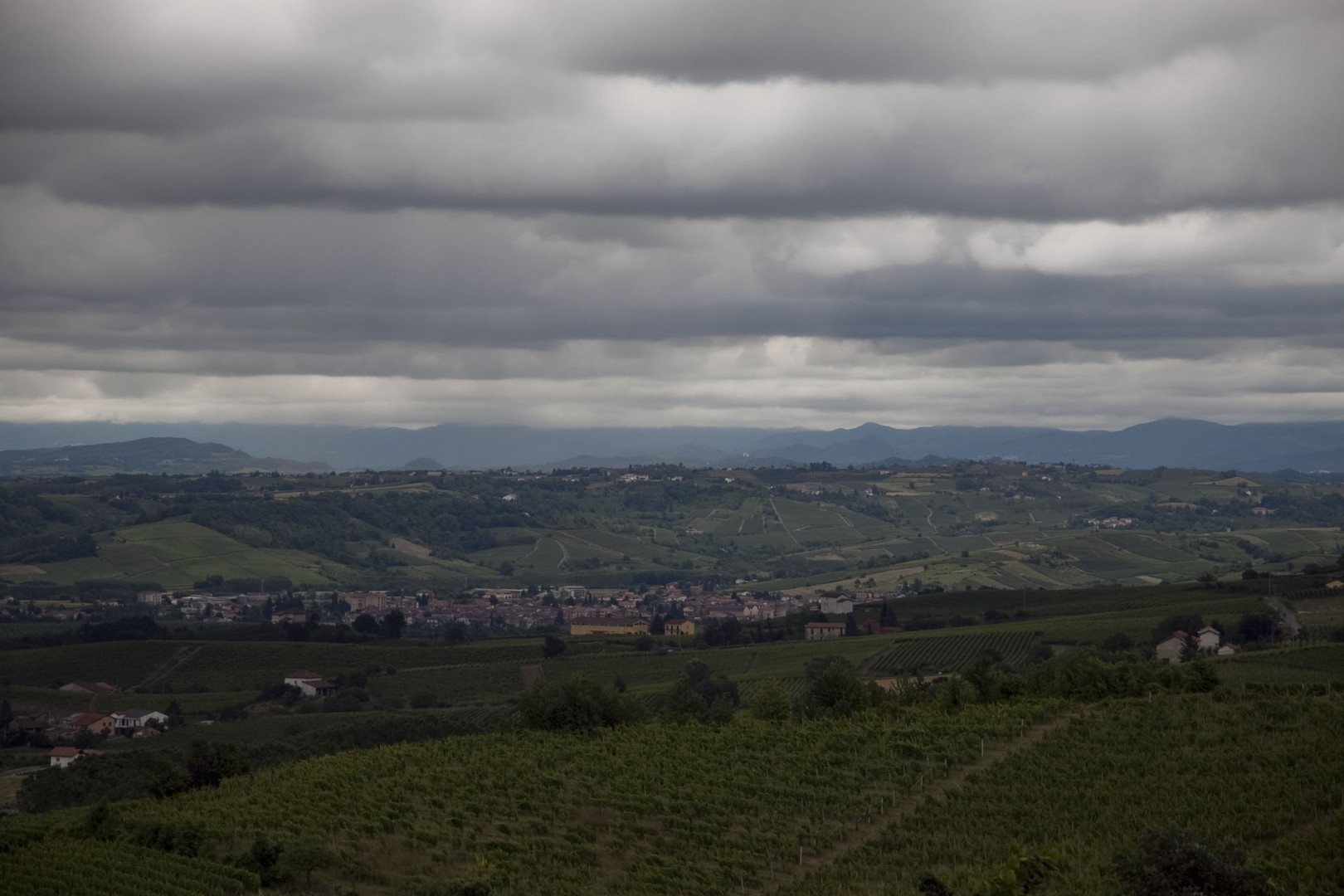 Panorama vinicolo