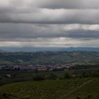 Panorama vinicolo