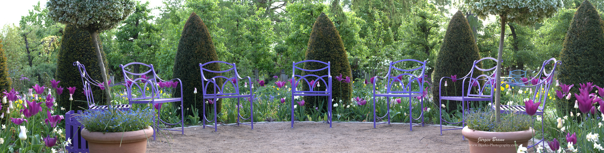 Panorama Violetter Garten