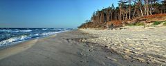 Panorama vom Darß-Weststrand bei Prerow am späten Nachmittag