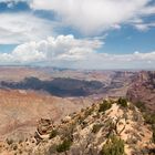 Panorama vom Grand Canyon South Rim