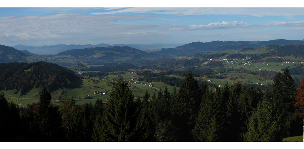 Panorama vom Hochhädrich Richtung Bodensee