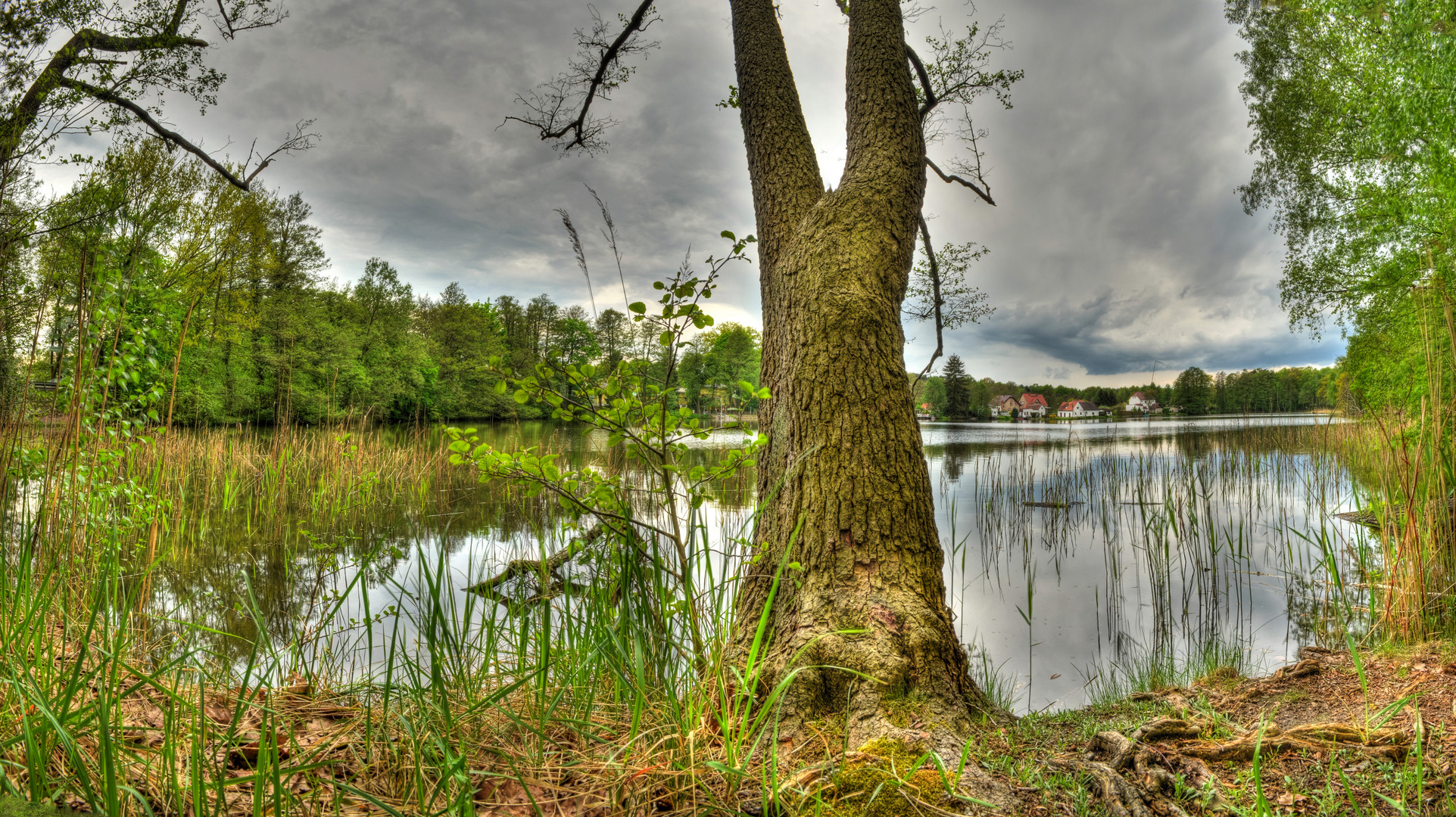 Panorama vom Kleinen Seddiner See